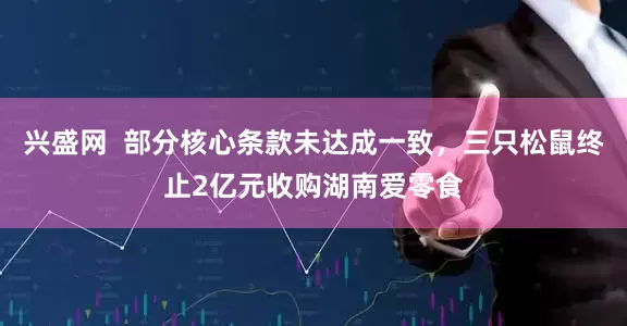 兴盛网  部分核心条款未达成一致，三只松鼠终止2亿元收购湖南爱零食