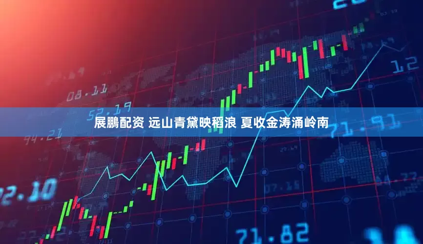 展鵬配资 远山青黛映稻浪 夏收金涛涌岭南
