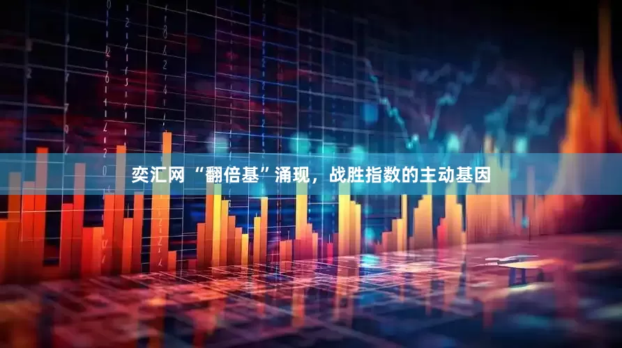 奕汇网 “翻倍基”涌现，战胜指数的主动基因