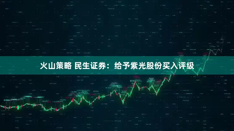 火山策略 民生证券：给予紫光股份买入评级