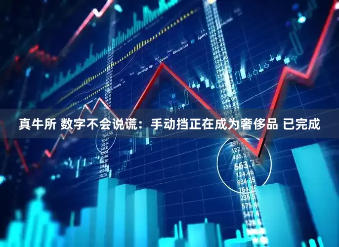 真牛所 数字不会说谎：手动挡正在成为奢侈品 已完成