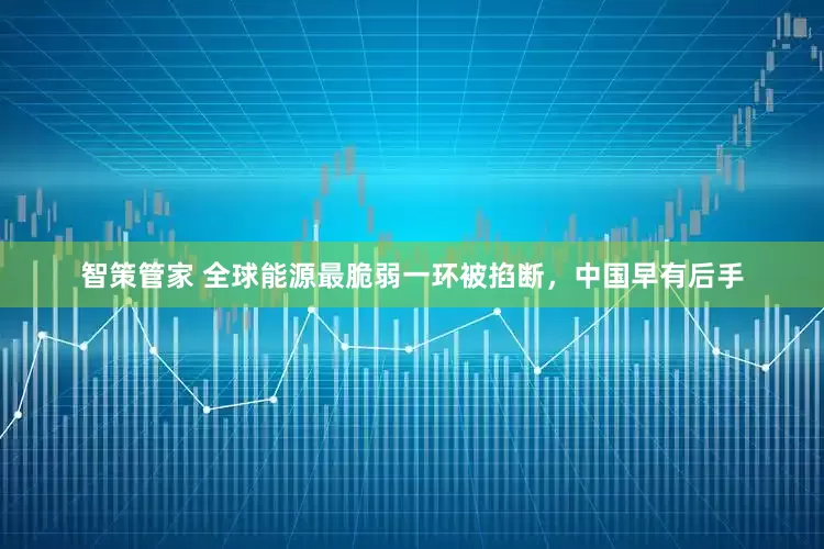 智策管家 全球能源最脆弱一环被掐断，中国早有后手
